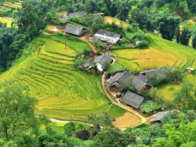 Nearly 20,000 tourists visit Sa Pa during New Year holidays